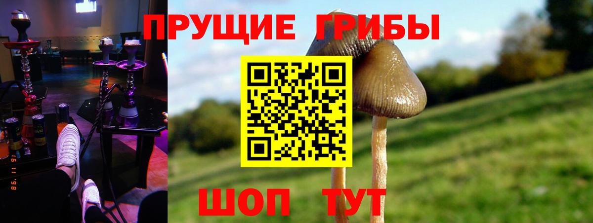Калуга  Галлюциногенные грибы ЛСД  Галлюциногенные грибы мицелий  Вход с VPN 